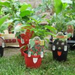 Piante da orto a Roma Nord: la qualità di Botanikos Garden Center